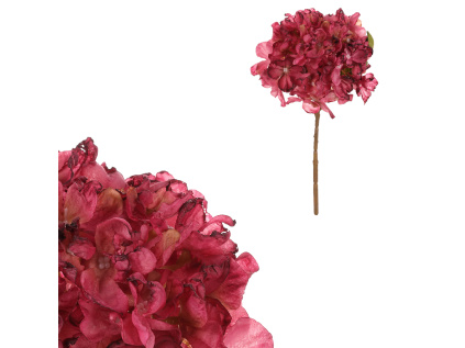 ukz1007 pink