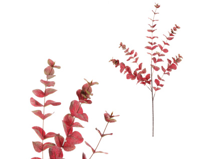ukz1009 red