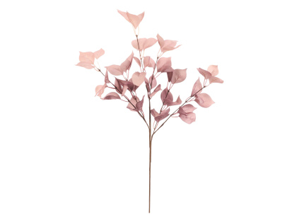 pra017 pink