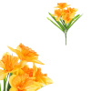 Narcisky v pugetu, žluto-oranžová barva. - SG7359 OR