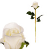 Růže pěnová, barva bílá. - KN7048 WT