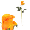 Růže pěnová, barva oranžová. - KN7048 YEL-OR