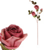 Růže, 3-květá, barva fialová. - KN7058 PUR