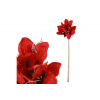 Amarylis, umělá květina, barva červená. - UKK273-RED