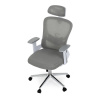 Kancelářská židle, šedá síťovina, bílý plast, kolečka na tvrdé podlahy, 2D područky - KA-K2031 GREY