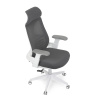 Židle kancelářská, tmavě šedá síťovina MESH, bílý plast, plastový kříž - KA-S247 WT