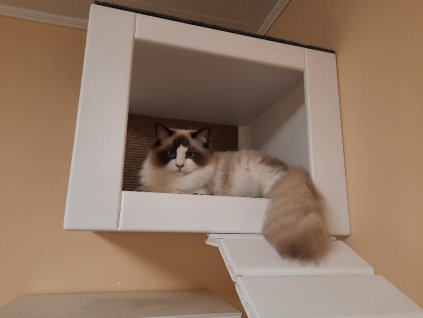 vyrp11 7620211127 065029