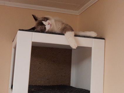 Kočičí pelíšek univerzalni - RA2