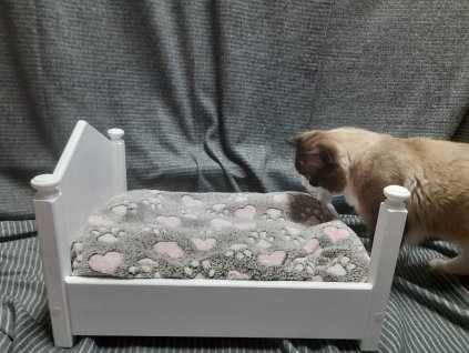 Postel pro kočky