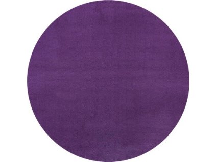 Koberec Fancy 103005 Lila kruh