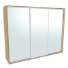 Šatní skříň FLEXI 3 se 3 zrcadly