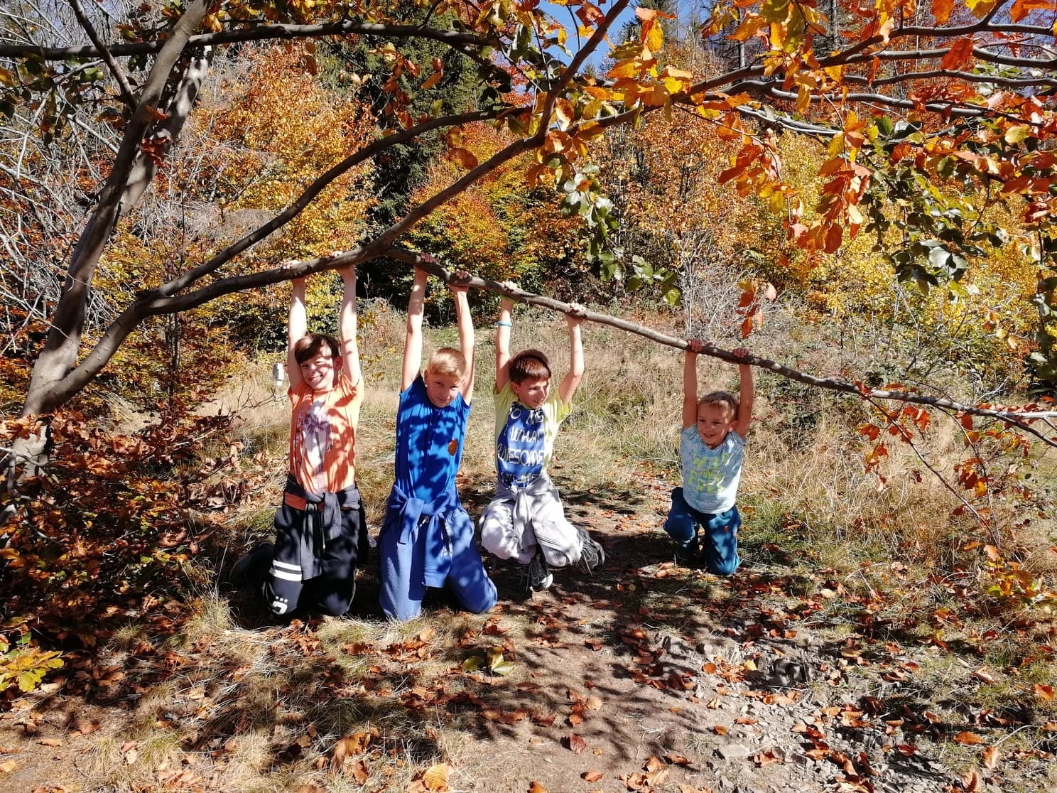 Nejlepší tipy na rodinné výlety s dětmi v moravskoslezském kraji