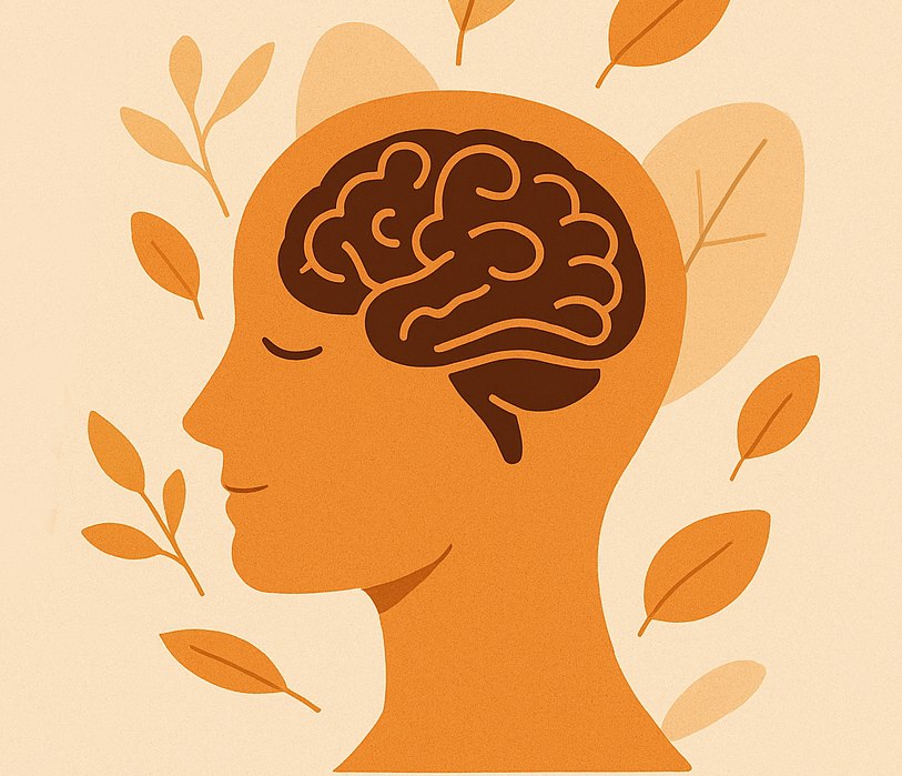 Náš temperament II