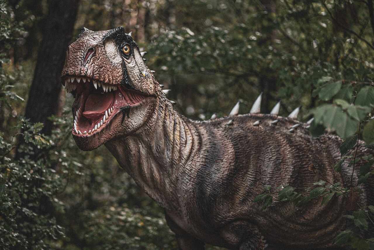 dinopark