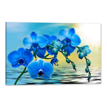 Tištěný Obraz na plátně Orchideje Art
