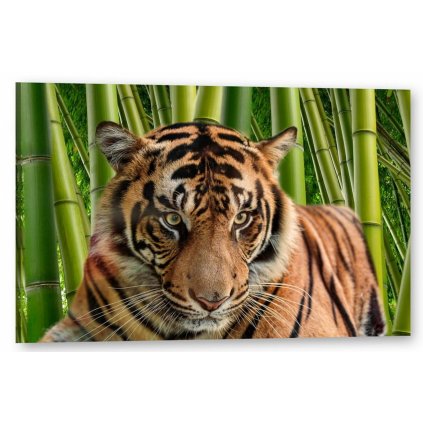 Tištěný Obraz na plátně Tygr Art