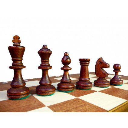 Šachy Tournament 3, 93 mad