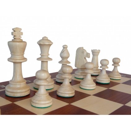 Šachy Tournament 5, 95 mad