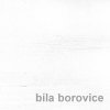BÍLÁ (BOROVICE ANDERSENOVÁ)