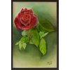 Růže, originální ručně malovaný olejový obraz, olejomalba na platně, rozměr 40x60 cm