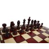 Šachy Tournament 8, 98 mad