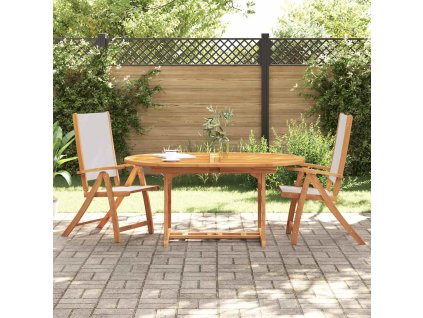 Skládací zahradní židle 2 ks masivní akáciové dřevo a textilen 4008421