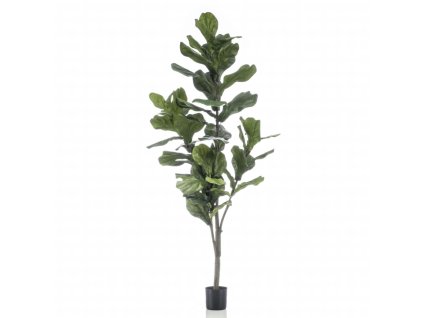 Emerald Umělý fíkus lyrový 160 cm 423643
