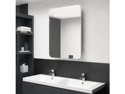 LED koupelnová skříňka se zrcadlem zářivě bílá 60 x 11 x 80 cm 326509