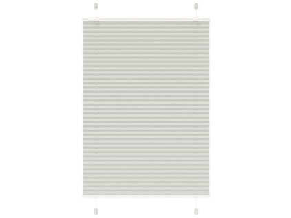 Plisovaná roleta světle šedá 100x100cm Šířka látky 99,4cm 4015330