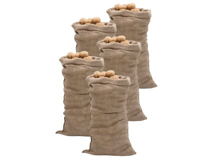 Jutové pytle 5 ks 65 x 135 cm 100% juta 220 g/m² 155779