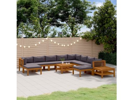 12dílná zahradní sedací souprava s poduškami masivní akácie 3086912