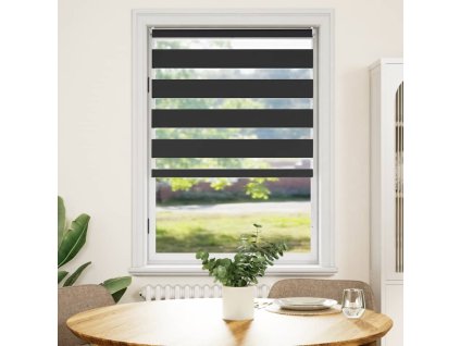 Roleta den a noc / Zebra / Twinroll 100x175 cm černá 240212