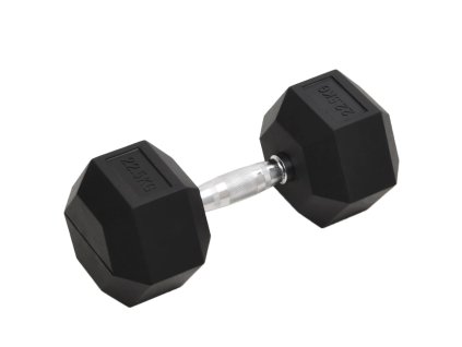 Jednoruční činka 22,5 kg litina 93609