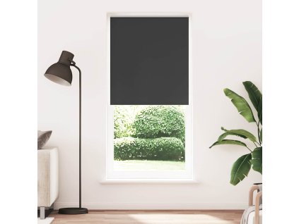 Zatemňovací roleta 80 x 230 cm černá 240151