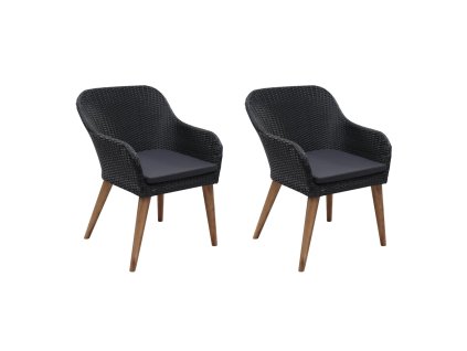 Zahradní židle s poduškami 2 ks polyratan černé 44153