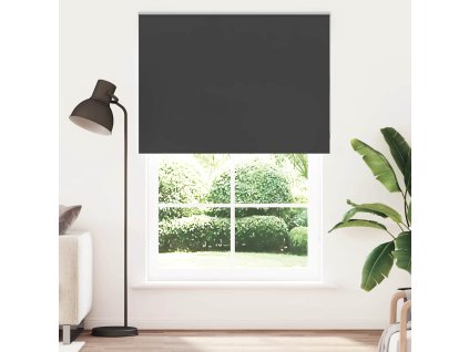 Roleta zatemňovací 160x210 cm šířka látky 156,6 cm polyester 4010932