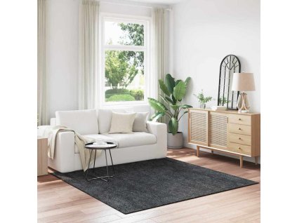 Protiskluzový Shaggy koberec Tmavě šedá 200 x 200 cm PP 4019771