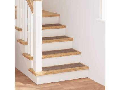 Protiskluzové podložky na schody 15 pcs Hnědá 75 x 20 cm PP 4019807