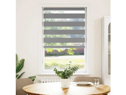 Roleta den a noc / Zebra / Twinroll 70x120 cm šedá 240195