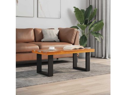 Konferenční stolek, teak a pryskyřice 100x50 cm 243467