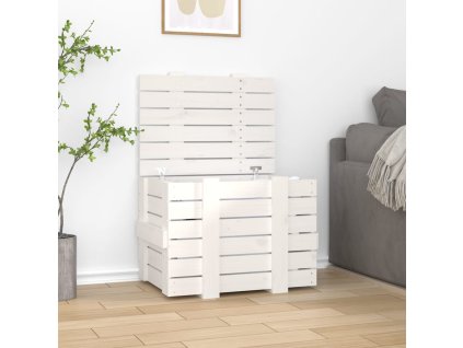 Úložný box bílý 58 x 40,5 x 42 cm masivní borové dřevo 824994