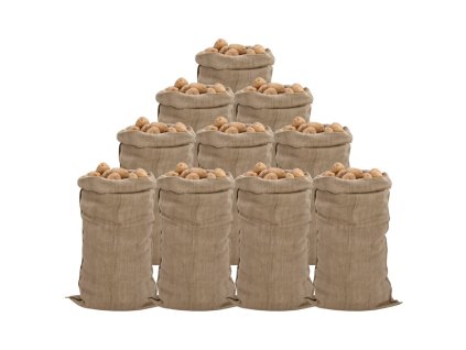 Jutové pytle 10 ks 65 x 135 cm 100% juta 340 g/m² 155786
