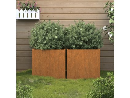 Truhlíky 2 ks 32 x 30 x 29 cm cortenová ocel 821548