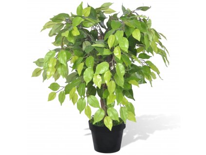 Umělý trpasličí fíkus (fíkovník) v květináči 60 cm 241358