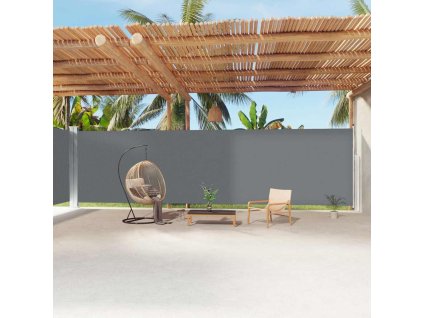 Zatahovací boční markýza antracitová 220 x 1 200 cm 318086