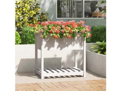 Truhlík s policí bílý 82,5 x 54 x 81 cm masivní borové dřevo 823781