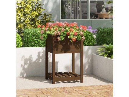 Truhlík s policí medově hnědý 54 x 54 x 81 cm masivní borovice 823776