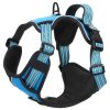 Postroj pro psy s reflexními popruhy nastavitelný modrý S 4013361