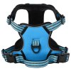 Postroj pro psy s reflexními popruhy nastavitelný modrý S 4013361