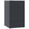 Box na 1 popelnici antracitový 69 x 79 x 117 cm ocel 4008426